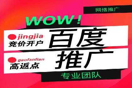 社交平台信息流广告推广案例精选